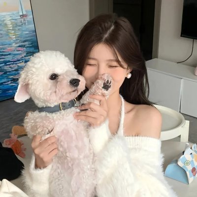 惊险的假期