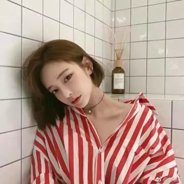 木棉花的春天